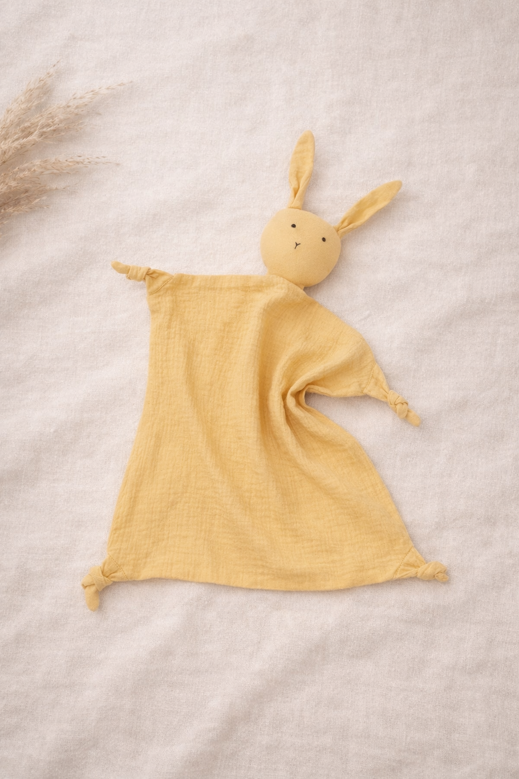 The Shoreline Softie